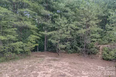 35 Coweeta Ridge Road, Otto, NC 28763 - Photo 46