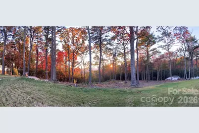 99999 Mountain Grove Lane #48, Fletcher, NC 28732 - Photo 6