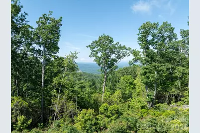 99999 Mountain Grove Lane #48, Fletcher, NC 28732 - Photo 2