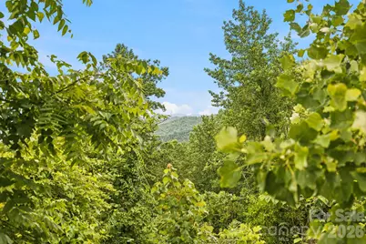 999 Perrion Avenue #18, Weaverville, NC 28787 - Photo 12