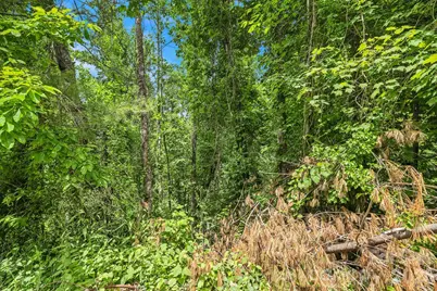 999 Perrion Avenue #18, Weaverville, NC 28787 - Photo 20