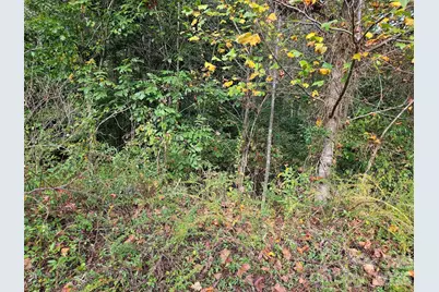 0 Hickory Loop Road #Lot 36, Rutherfordton, NC 28139 - Photo 4