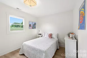 114 Cane Crk Rnch Dr, Fletcher, NC 28732 - Photo 20