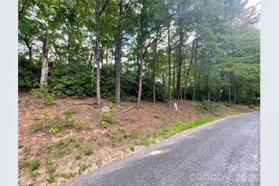 282 Quail Ridge Road, Lake Lure, NC 28746 - Photo 2