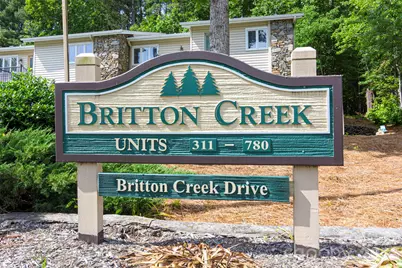 461 Britton Creek Drive, Hendersonville, NC 28791 - Photo 30