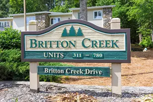 461 Britton Creek Dr, Hendersonville, NC 28791 - Photo 30