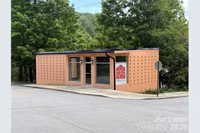 452 Wall Street, Waynesville, NC 28786 - Photo 1
