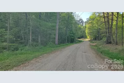 795 Elk Shoals Church Loop, Stony Point, NC 28678 - Photo 6