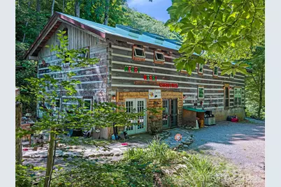 311 Old Sawmill Road, Burnsville, NC 28714 - Photo 20