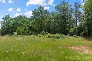1223 Deer Park Rd, Nebo, NC 28761 - Photo 6