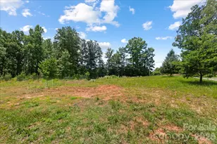 1223 Deer Park Rd, Nebo, NC 28761 - Photo 4