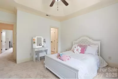 13302 Bally Bunnion Way, Davidson, NC 28036 - Photo 32