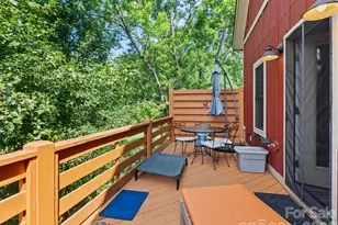 44 Old County Home Rd, Asheville, NC 28806 - Photo 24
