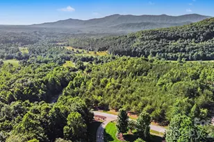2554 Deep Gap Farm Rd, Mill Spring, NC 28756 - Photo 4