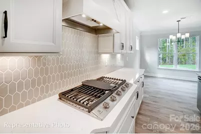8011 James Query Road, Charlotte, NC 28227 - Photo 10