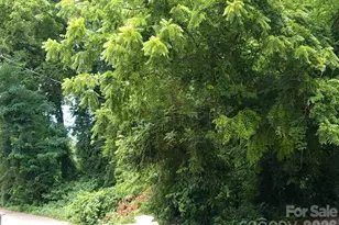 000 Ann Dr, Belmont, NC 28012 - Photo 1