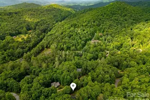 359 David's Trce, Pisgah Forest, NC 28768 - Photo 46