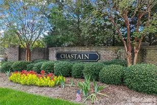 2482 Chatham Dr, Fort Mill, SC 29707 - Photo 36