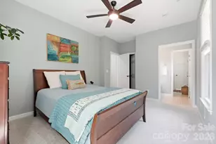 341 Elis Way, Fort Mill, SC 29708 - Photo 30