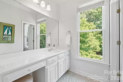 341 Elis Way, Fort Mill, SC 29708 - Photo 34