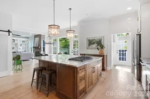 341 Elis Way, Fort Mill, SC 29708 - Photo 14