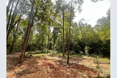 0004 Bolton Road, Catawba, NC 28609 - Photo 4