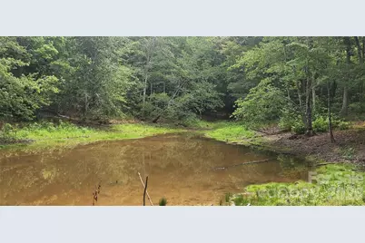 1413 Old Columbia Road, Chester, SC 29706 - Photo 24