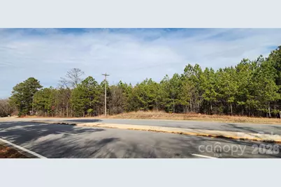 1413 Old Columbia Road, Chester, SC 29706 - Photo 16