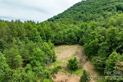 9999 Morgan Branch Road, Weaverville, NC 28787 - Photo 6