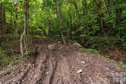 9999 Morgan Branch Road, Weaverville, NC 28787 - Photo 22