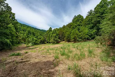 9999 Morgan Branch Road, Weaverville, NC 28787 - Photo 2