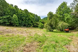 9999 Morgan Branch Rd, Weaverville, NC 28787 - Photo 1