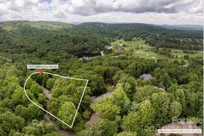 117 Tarnhill Drive, Flat Rock, NC 28731 - Photo 38