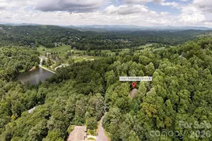 117 Tarnhill Dr, Flat Rock, NC 28731 - Photo 36