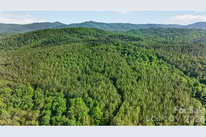 485 Frog Creek Road, Union Mills, NC 28167 - Photo 2