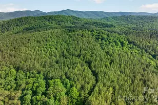 485 Frog Creek Rd, Union Mills, NC 28167 - Photo 2