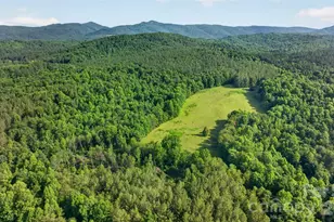 485 Frog Creek Rd, Union Mills, NC 28167 - Photo 8
