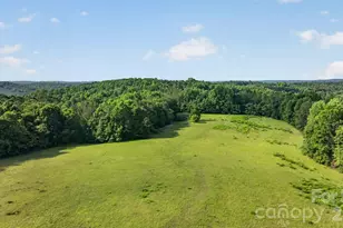 485 Frog Creek Rd, Union Mills, NC 28167 - Photo 14