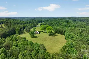 485 Frog Creek Rd, Union Mills, NC 28167 - Photo 6