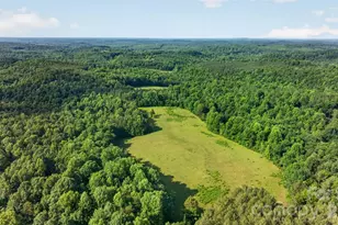 485 Frog Creek Rd, Union Mills, NC 28167 - Photo 10