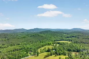 485 Frog Creek Rd, Union Mills, NC 28167 - Photo 12