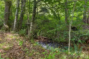 485 Frog Creek Rd, Union Mills, NC 28167 - Photo 18