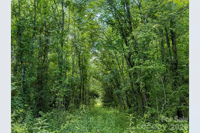 Tbd Canebrake Road, Pisgah Forest, NC 28768 - Photo 2