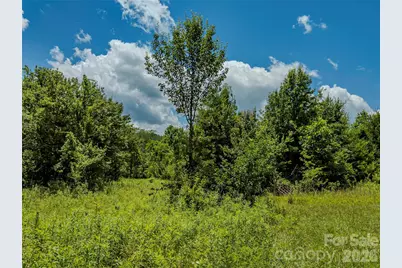 Tbd Canebrake Road, Pisgah Forest, NC 28768 - Photo 24