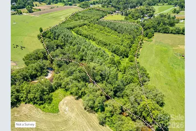 Tbd Canebrake Road, Pisgah Forest, NC 28768 - Photo 6