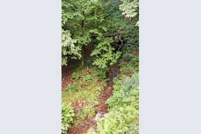 1210 Blevins Branch Road, Bakersville, NC 28705 - Photo 28