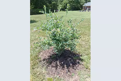 1415 Old US 221A Highway, Mooresboro, NC 28114 - Photo 28