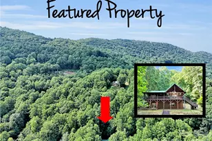 49 Brandywine Rd, Waynesville, NC 28786 - Photo 34