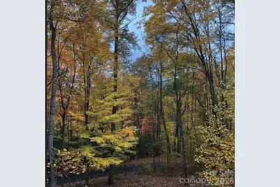 49 Brandywine Road, Waynesville, NC 28786 - Photo 36