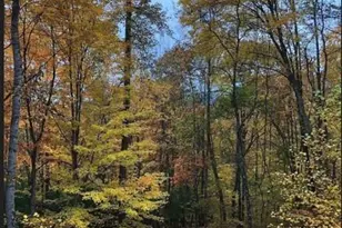 49 Brandywine Rd, Waynesville, NC 28786 - Photo 36